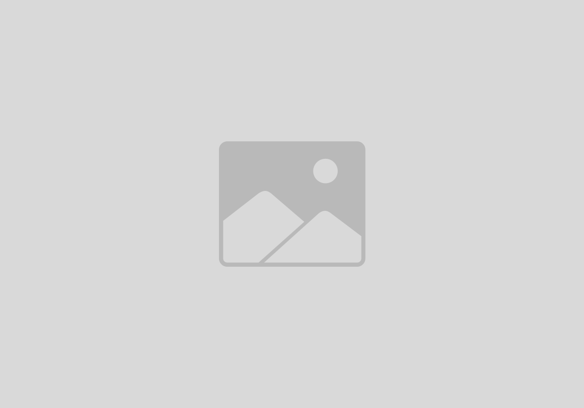 fossili shark, mosasaur teeth, dinosaur teeth for sale